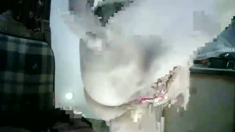 Lilu online show from September 24, 9:25 pm