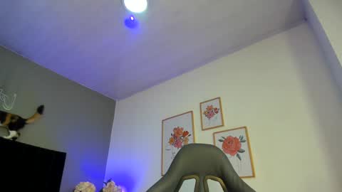  Alice  online show from January 17, 7:49 pm