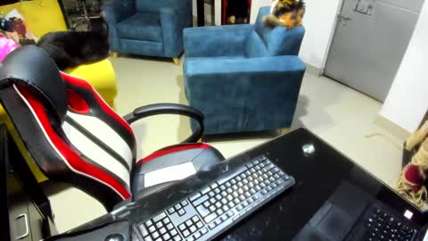 Emma online show from February 7, 12:53 am