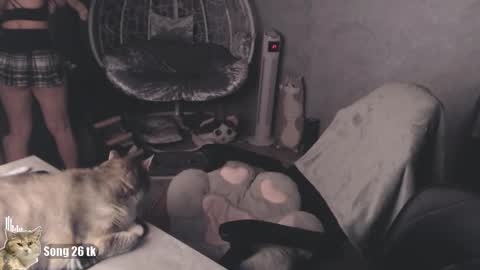 Debby  online show from October 15, 7:38 pm