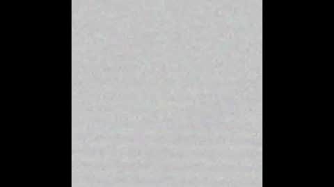 _tammarra_ online show from March 21, 8:25 pm