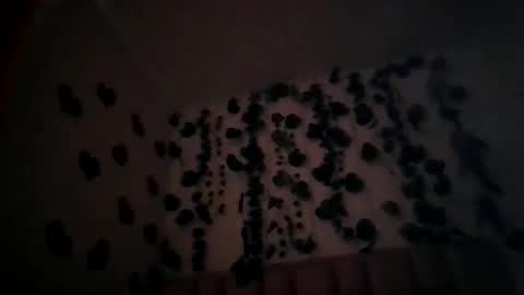 abby_moss_2 online show from April 8, 12:51 pm