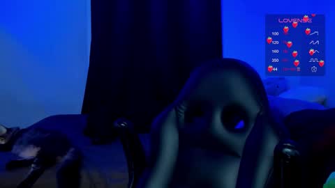 Cat online show from December 5, 4:45 am