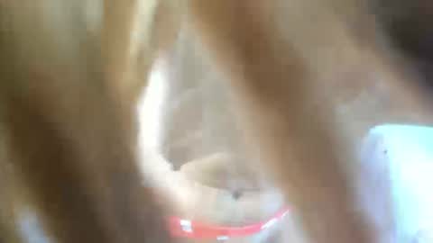 aisha_violeht online show from February 25, 2:37 pm