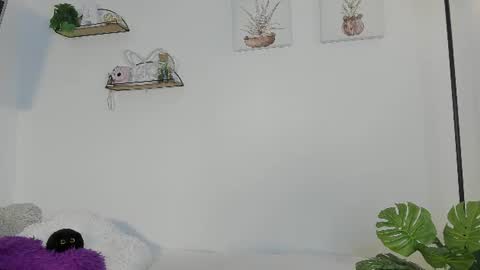   online show from June 24, 10:47 am