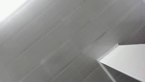 Maeve  online show from January 3, 11:03 am