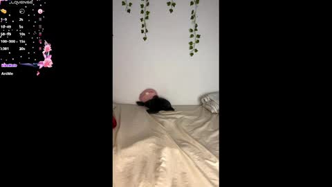 Snapshot of alaska_drew chatting on February 25, 11:10 am Alaska online show from February 25, 11:10 am