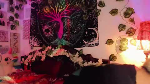 Snapshot of alexiafisher_ chatting on February 18, 2:49 am Alex online show from February 18, 2:49 am