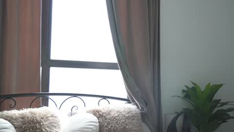 Alissa online show from February 3, 6:45 am