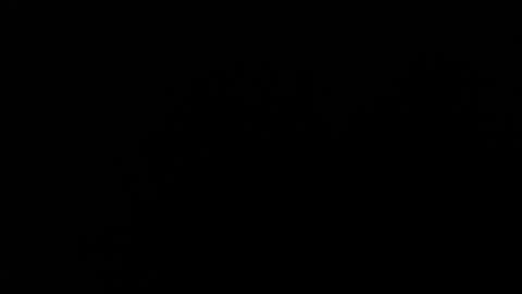 Amarantha online show from February 1, 1:09 pm