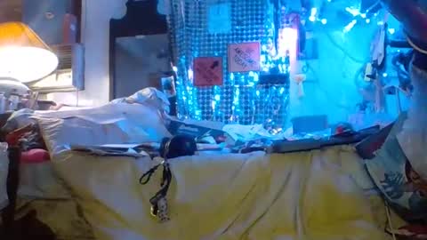 ambionce online show from March 27, 8:26 am