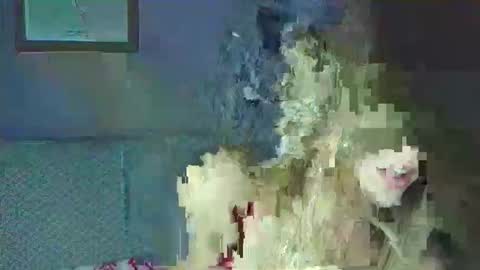 Angel  online show from December 1, 2:04 am