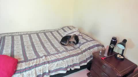 Angel online show from October 15, 3:25 pm