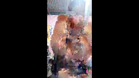 annieramos online show from April 25, 7:55 pm