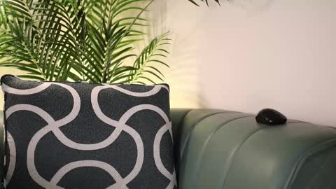 annittastar online show from December 18, 3:22 am