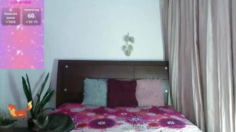 Ant 53 online show from October 24, 7:54 pm