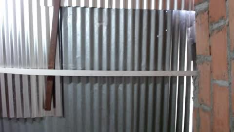 antonella_castelli online show from March 17, 7:51 pm