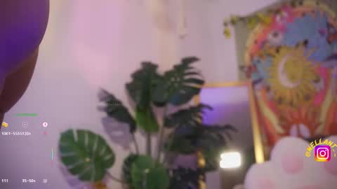 Nell. online show from January 15, 1:11 am