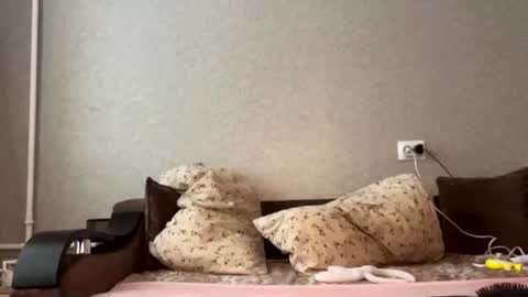 Reyna online show from July 1, 4:50 pm