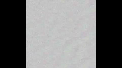 Arianna Collins online show from February 20, 11:45 am