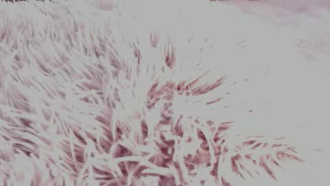 Snapshot of aryahunt chatting on October 23, 8:53 am Arianacustom videos available for sale try my special vibes 112233111222333 private copy at request online show from October 23, 8:53 am