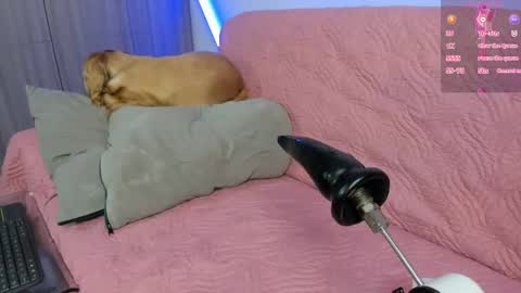 Atalaya online show from April 25, 4:59 am