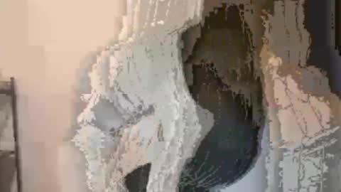 axue online show from December 17, 3:17 pm