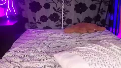 Ava online show from April 22, 3:03 am