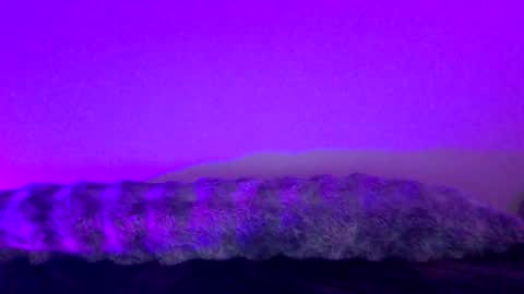 baddiejess618433 online show from December 18, 5:26 am