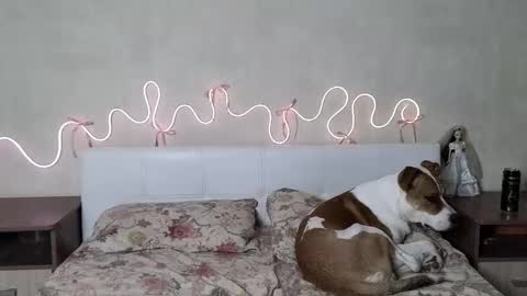 im Betty online show from January 10, 9:58 am