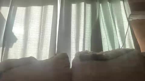 baybeegerrl online show from February 17, 11:33 pm