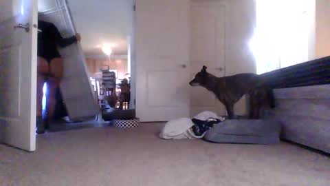 bj4290 online show from November 12, 6:28 pm