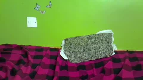 black_queeni online show from January 11, 6:46 pm