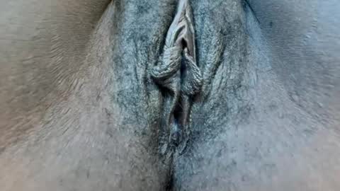 fiona online show from January 26, 10:02 am