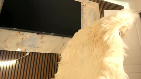 Snapshot of blackmilk_01 chatting on September 20, 1:59 am Karina online show from September 20, 1:59 am