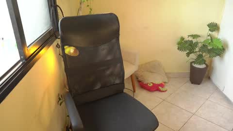 FLORAA online show from February 11, 10:25 am