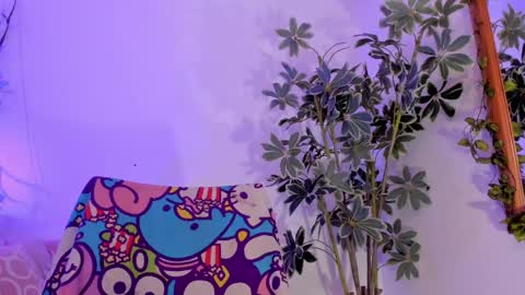   online show from January 11, 11:54 pm