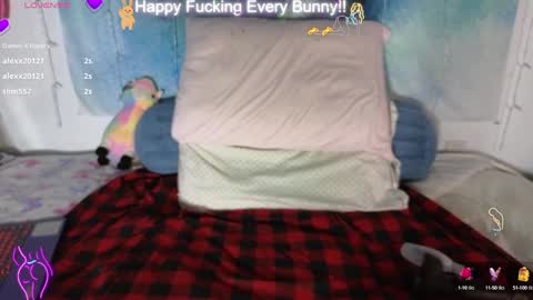 Tokki  bunny  online show from January 28, 2:00 am