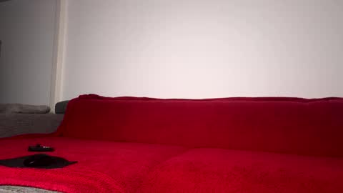 Caliiie of online show from January 15, 6:52 am