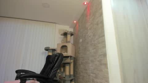 candy_queen81 online show from November 25, 11:01 am