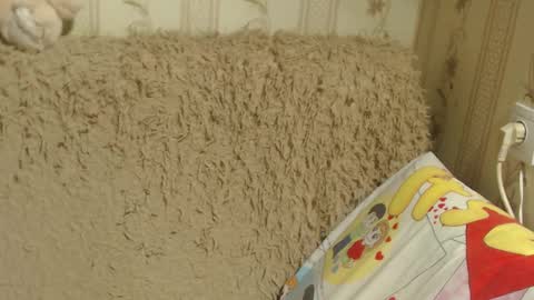 say meow and send tip  online show from February 9, 2:40 pm