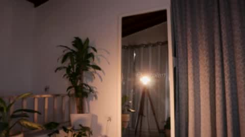 Snapshot of carolart chatting on February 19, 9:03 pm carolart online show from February 19, 9:03 pm