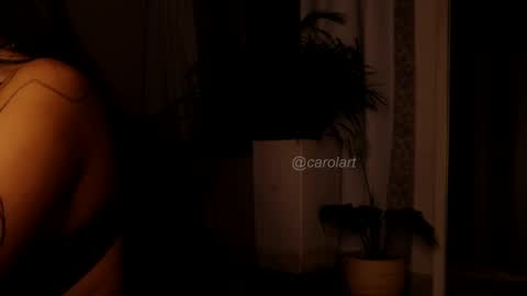 Snapshot of carolart chatting on February 9, 3:00 am carolart online show from February 9, 3:00 am