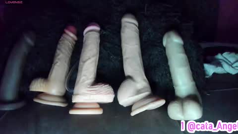 Cata Angel online show from November 11, 1:45 am