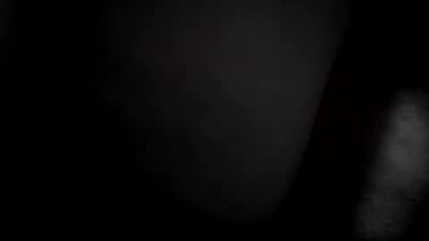 Lexi and Chase online show from November 8, 3:00 am