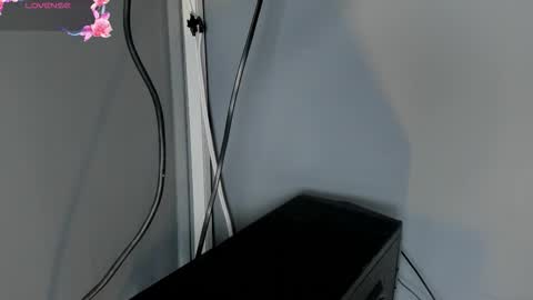 Cintia online show from November 4, 12:10 pm