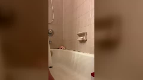 coralnymph online show from December 14, 9:04 am