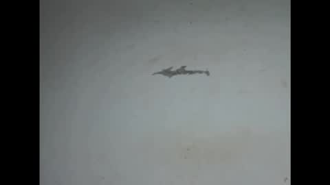 cornxcunt online show from March 3, 10:27 pm