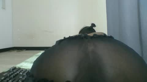 creamy pussy online show from November 2, 4:38 am