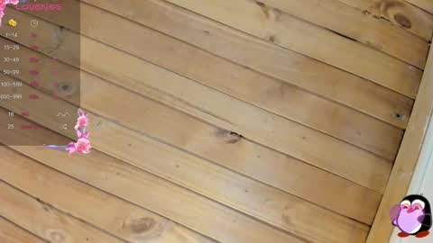 Cristal online show from February 23, 4:13 am